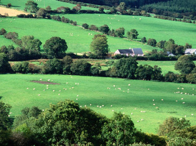 The Fields and Farmhouses of County Cork, Ireland
